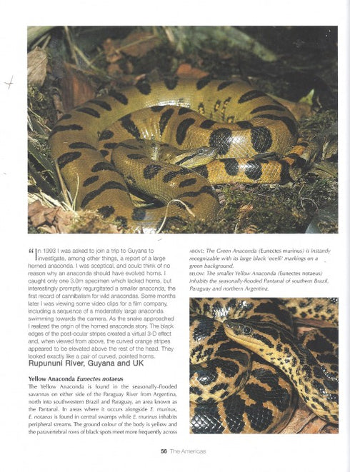 Boas and Python of the World - Mark O'Shea 2011